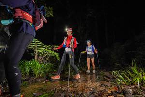 BIB: 
                            <button type="button" onclick="openModal(19247140)" class="btn btn-primary btn-sm float-right btn-popup" data-toggle="modal" data-target=".modal-high-quality">
                        <i class="fas fa-shopping-cart"></i> Add to Cart
                    </button>
                                            <button type="button" onclick="isThisMe(19247140, true)" class="btn btn-success btn-sm float-right btn-popup btn-isme hidden" data-toggle="tooltip" data-placement="bottom" title="นี่คือรูปของคุณใช่ไหม คลิกที่นี่เพื่อเอาเข้าอัลบั้ม">
                        <i class="fas fa-plus"></i> Add to album
                    </button>
                    <button type="button" onclick="isThisMe(19247140, false)" class="btn btn-warning btn-sm float-right btn-popup btn-isnotme hidden">
                        <i class="fas fa-ban"></i> Remove from album
                    </button>